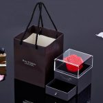 Projection Necklace Set With Rose Gift Box - Image 2